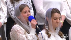 Дорога скорби – Виа Долороса / Стихотворение
