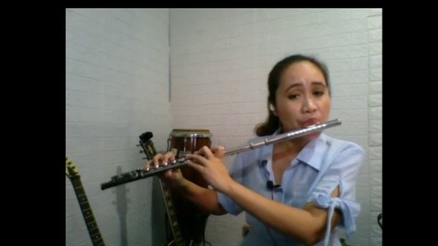 The Music of Ennio Morricone on flute смотреть онлайн