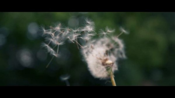 "If" by Rudyard Kipling - Narrated by Michael Caine