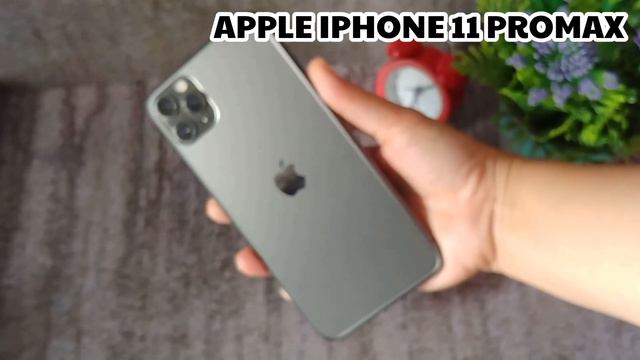 SAMSUNG S21 ULTRA VS IPHONE 11 PROMAX || CAMERA TEST
