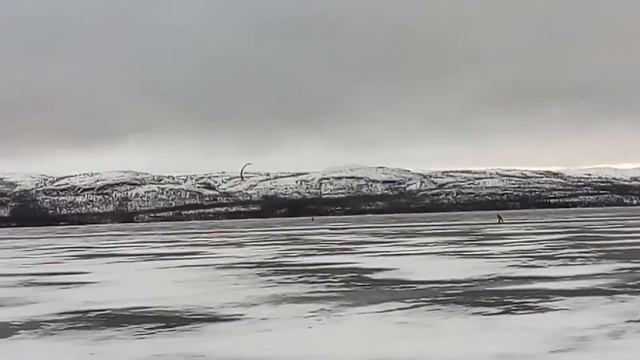 Начало сезона, кайты в небе, Гольфстрим смотреть онлайн