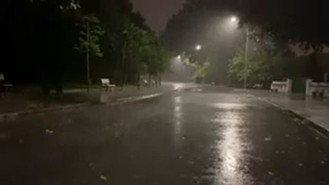 Мгновенный сон благодаря сильному ливню и мощным звукам грома, раздающим тропический лес ночью в смотреть онлайн