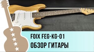 Foix FEG-KG-01 - обзор гитары