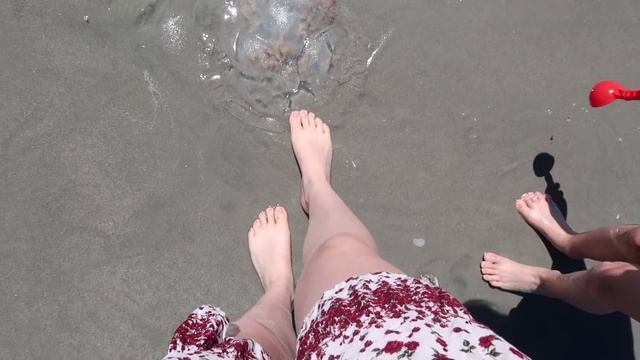 Весенние каникулы в Америке (vlog 64) || Polina Sladkova смотреть онлайн