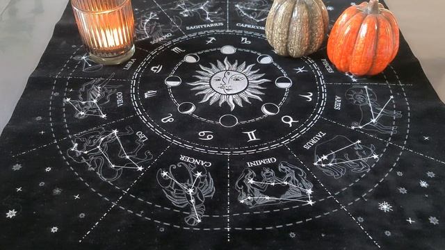 ?L'Oracle de la conscience animale? смотреть онлайн
