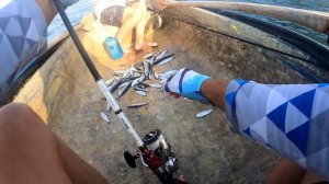 Рыбалка в Абхазии с лодки! Ловля Пиламиды на троллинг! #самодур #Абхазия #черноеморе