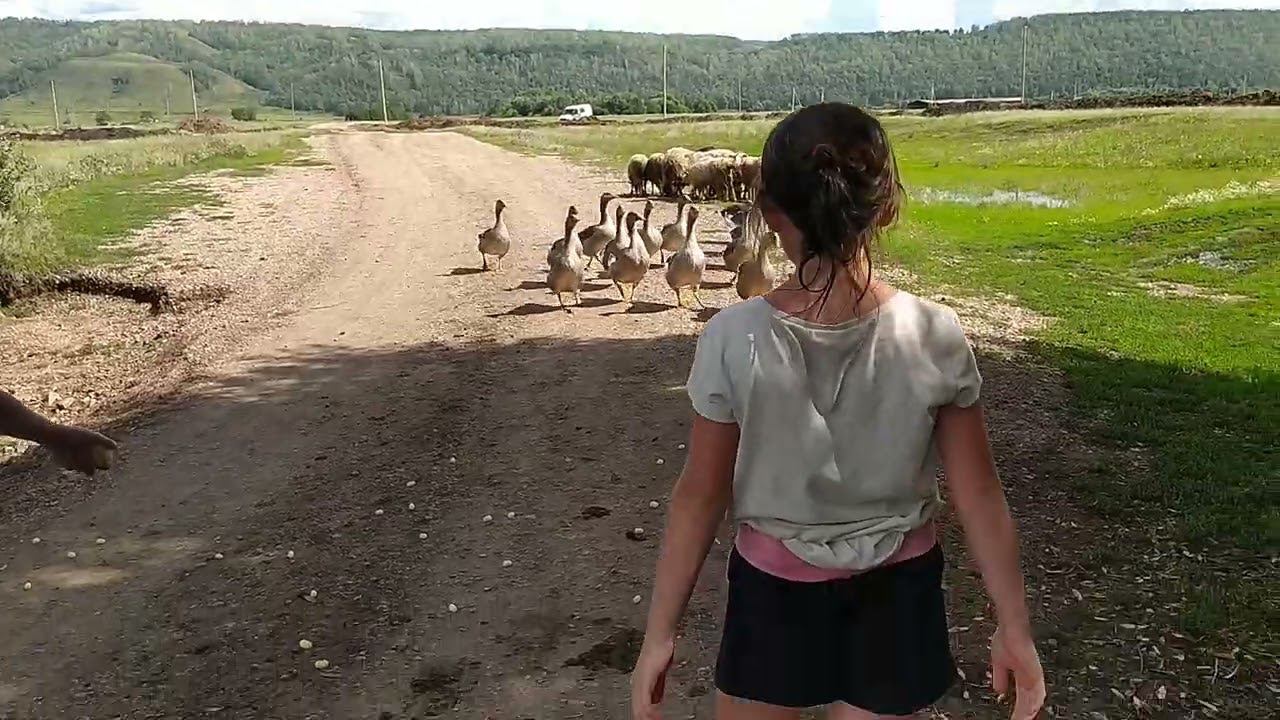 #russiannature смотреть онлайн