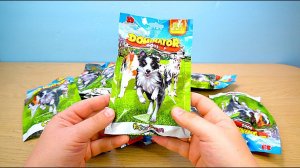 СОБАКИ СЕРИЯ DOMINATOR СБАБАМ ПАКЕТИКИ СЮРПРИЗ