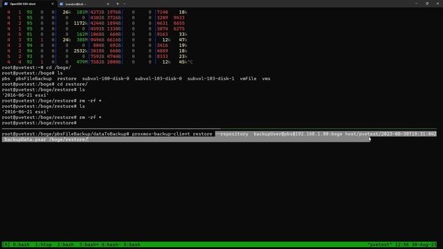 Getting the most out of Proxmox Backup Server: Backing up other data, Offsite syncs, and more смотреть онлайн