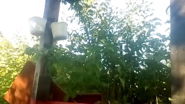 Баба дук дук смотреть онлайн