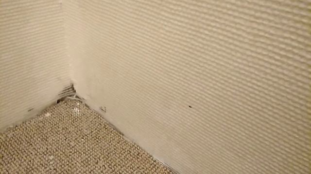 Стеклообои Wellton до покраски смотреть онлайн