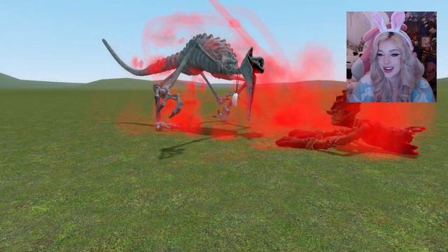 Can NIGHTMARE DOGDAY BEAT NIGHTMARE CATNAP in a battle?! (Garry’s Mod Sandbox) смотреть онлайн