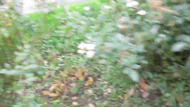 Крылья Ангела смотреть онлайн