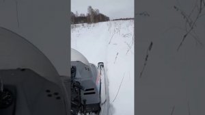 Прогулка на снегоходе Рысь 440.