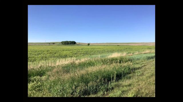 Coffee Break (5 Minutes with God) Psalm 33:11-14 смотреть онлайн