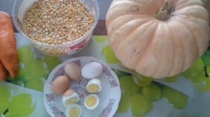 Чем кормить кур, чтобы желток был оранжевым.