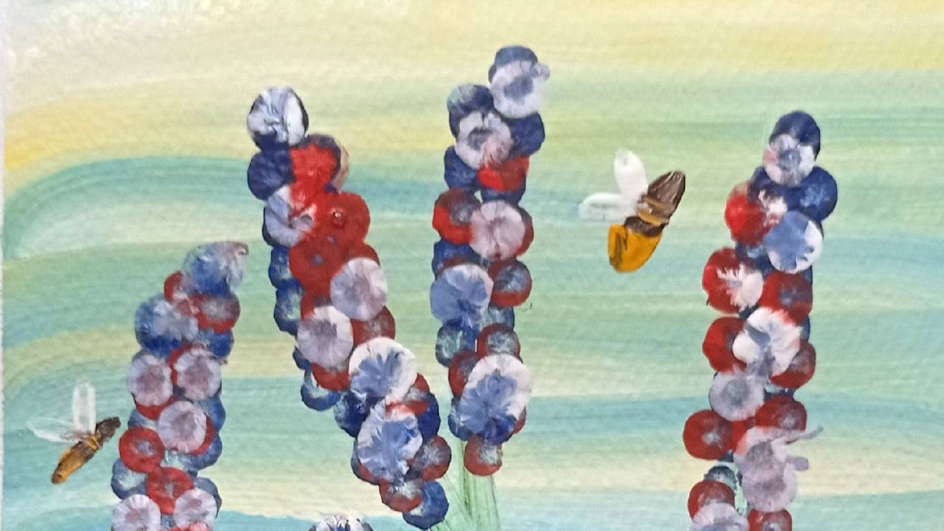 Луговые цветы