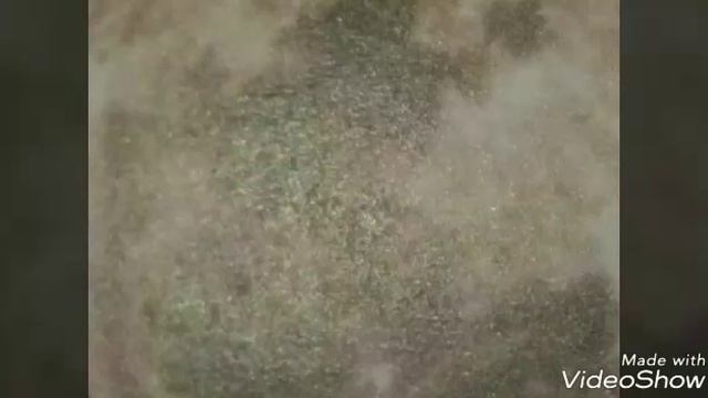 Космос Факты. Колумбы Вселенной 1💕 смотреть онлайн