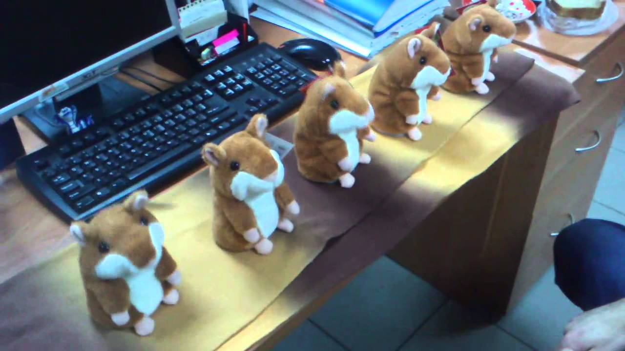 Хомяки на рынке