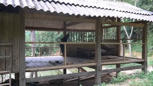 27th day at the new farm, Renovate the rundown house - build a farm life смотреть онлайн