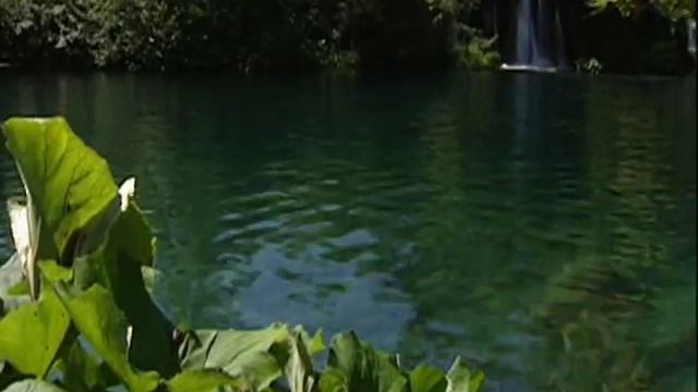 Когда делают дети ошибки..mpg смотреть онлайн