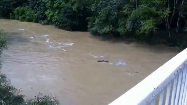 Псекупс после дождя смотреть онлайн