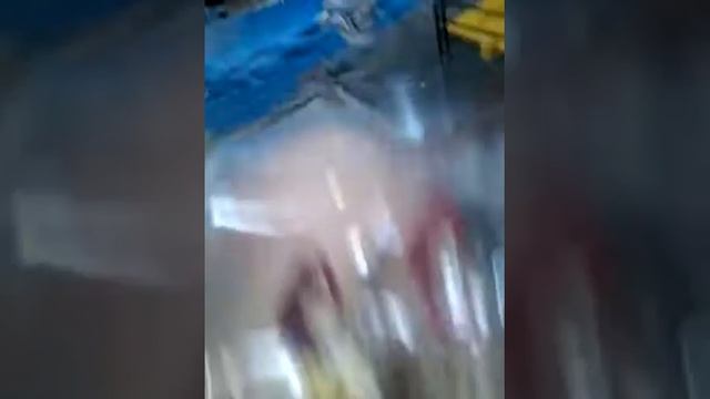 Какие овощи и фрукты можно давать джунгарским хомякам смотреть онлайн
