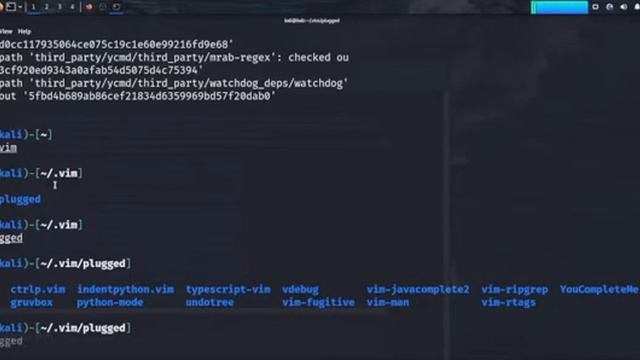TURN YOUR VIM INTO AN IDE смотреть онлайн