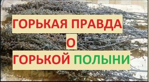 горькая правда о горькой полыни смотреть онлайн