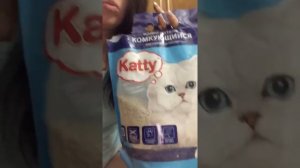 Как приучить кота к лотку в любом возрасте