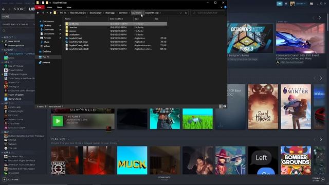 HOW TO FIX LOGIN ERROR AND CONNECTION ERROR ON NEW WORLD (SHORT AND SIMPLE) смотреть онлайн