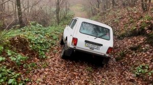 #14 Maxxis Trepador M8060 на Ниве. Первый выезд по лайту. MT или AT?