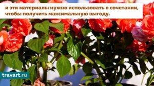 Вермикулит для растений + Как смешивать вермикулит с землей