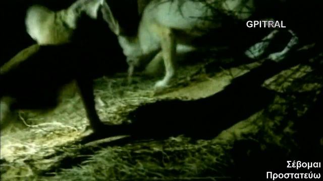Έρημος Desert смотреть онлайн
