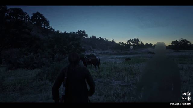 RED DEAD REDEMPTION 2 ONLINE Walkthrough Gameplay Part 2 - POSSE (RDR2 Online) смотреть онлайн