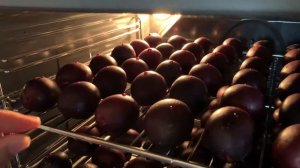 Сушка слив натуральным способом, легко и просто в домашних условиях  #чернослив #сушимсливы