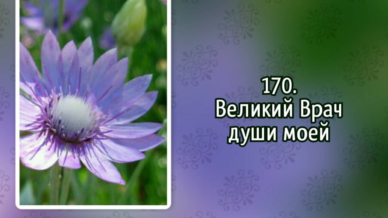 Гимны надежды 170 Великий Врач души моей (-) смотреть онлайн