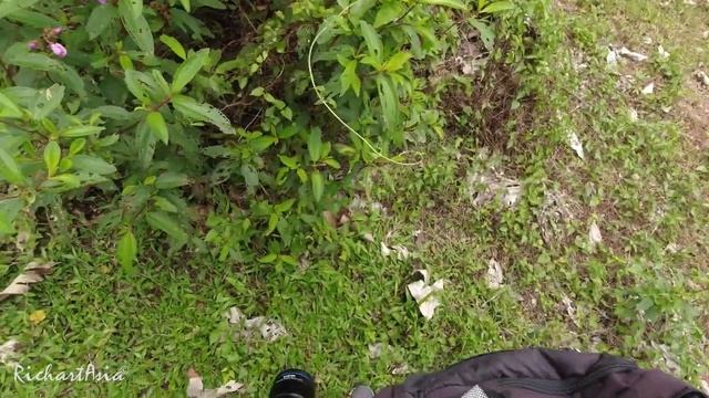 Fujifilm X-H2 and Sony A7R3 with 7artisans and Laowa macro lens смотреть онлайн