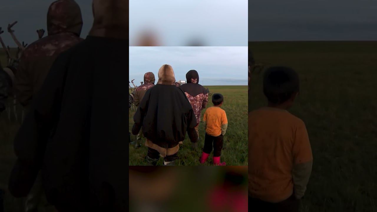 Община Ямб То 3 смотреть онлайн