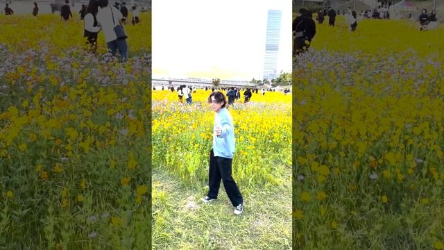 La La Lie - Ann Paris • Daniel Brown (Locking Dance) смотреть онлайн