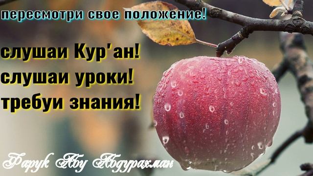 ПЕРЕСМОТРИ СВОЕ ПОЛОЖЕНИЕ! смотреть онлайн