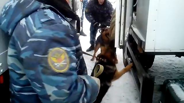 Сармат 7,5 месяцев смотреть онлайн