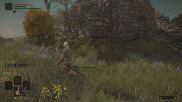 Elden Ring Naked Noob 2 смотреть онлайн