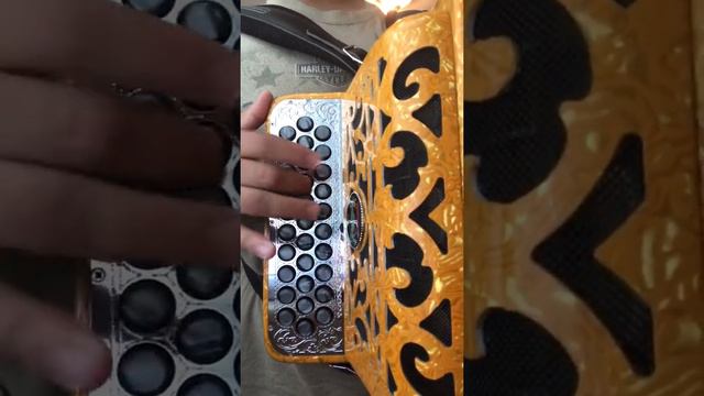 Accordion Simple Jazz/Swing melody F-FBE смотреть онлайн