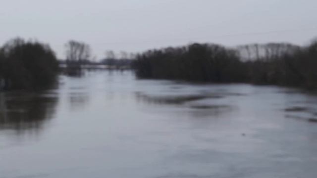 На крючке: рыболовные приключения