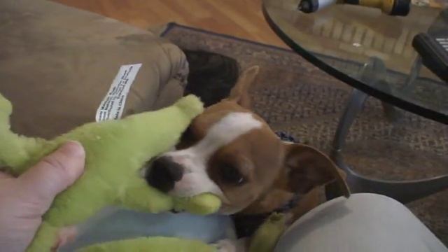 Brat boy смотреть онлайн