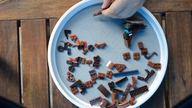 Best indoor bonsai tree - Lego Botanical Collection 10281 смотреть онлайн