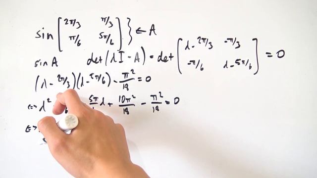 Sine of a Matrix смотреть онлайн