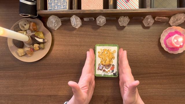 The Healthy Witch Oracle Cards ~ Walkthrough & First Impressions смотреть онлайн