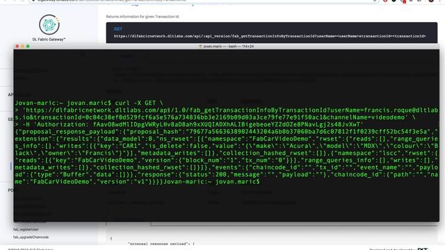 DL Fabric Gateway: How to Fetch Transaction Details смотреть онлайн